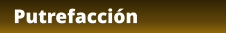 Putrefacción