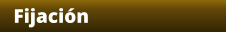 Fijación