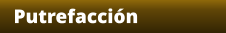 Putrefacción