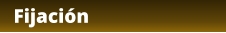 Fijación