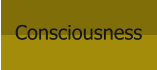 Consciousness